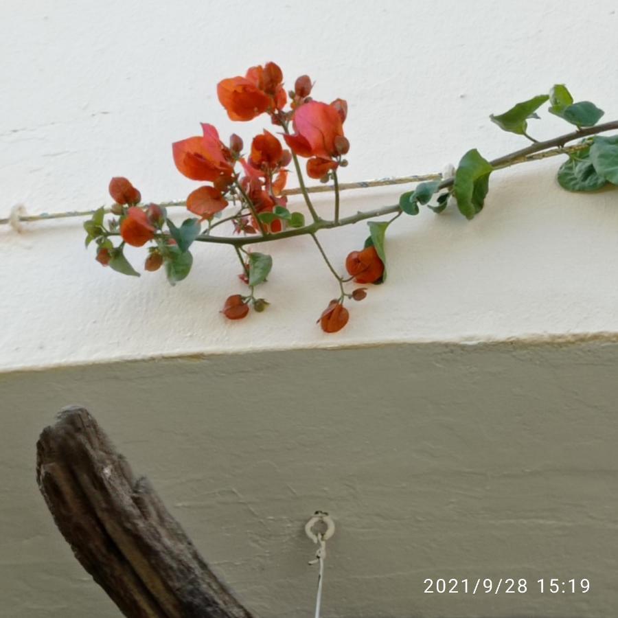 Casa Luciano Daire Murta Maria Dış mekan fotoğraf